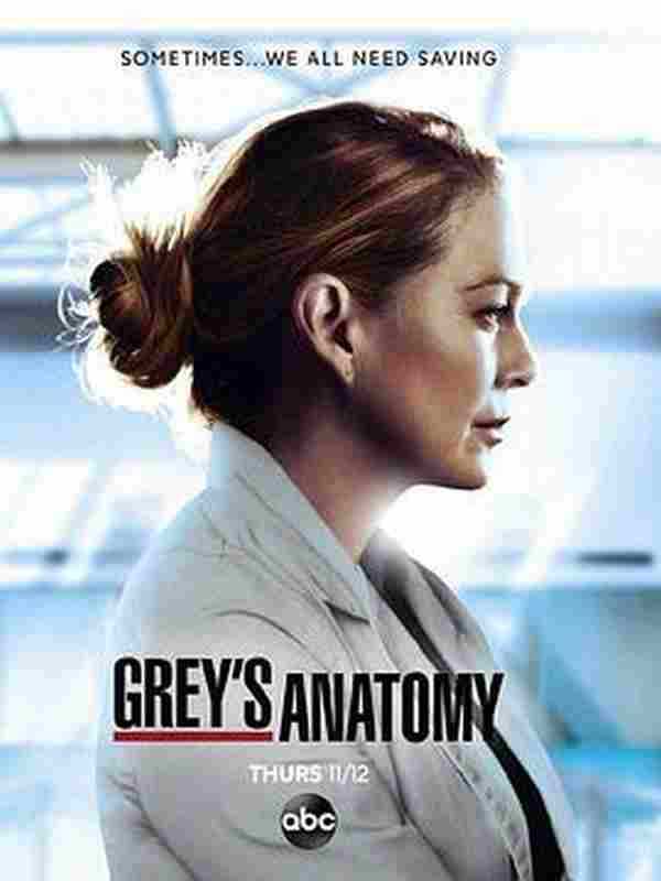 实习医生格蕾 第十七季 Grey's Anatomy Season 17